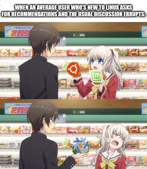 Caption: "When an average user who's new to Linux asks for recommendations and the usual discussion errupts".
Below two panels from an anime where first a girl holds up two grocery items (in this case two Linux distributions known to be very user friendly, Mint and Ubuntu). Then the guy holds up a single item that's NixOS, a highly technical distribution aimed at enthusiasts and professionals.