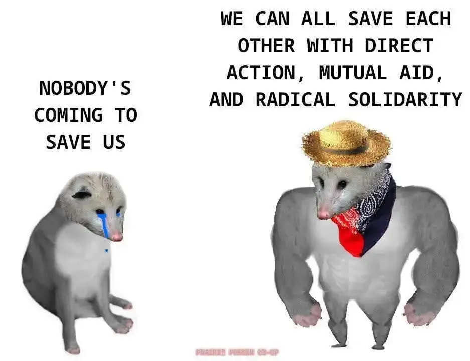The image features two anthropomorphic possums with contrasting messages and appearances:  1. Left Side:     - A sad-looking possum with a tear on its cheek.    - Accompanied by the text: "NOBODY'S COMING TO SAVE US."  2. Right Side:    - A muscular possum wearing a straw hat and a red and black (anarchist) bandana.    - Accompanied by the text: "WE CAN ALL SAVE EACH OTHER WITH DIRECT ACTION, MUTUAL AID, AND RADICAL SOLIDARITY."  The image conveys a message of empowerment and community support, contrasting despair with proactive solidarity.