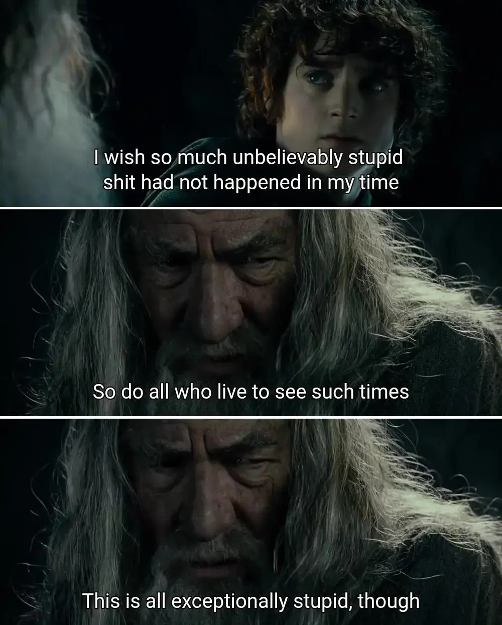 Picture: meme of three screenshots from Lord of the Rings.

Panel 1:
Frodo: I wish so much unbelievably stupid shit had not happened in my time

Panel 2:
Gandalf: So do all who live to see such times

Panel 3:
Gandalf: This is all exceptionally stupid, though