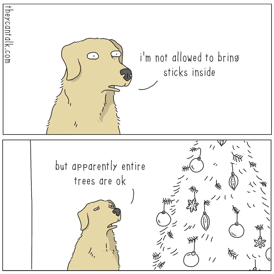 1. Dog alone: "I'm not alllowed to bring sticks inside the house..." 2. "...But apparently entire trees are okay" (enters room with christmas tree) 