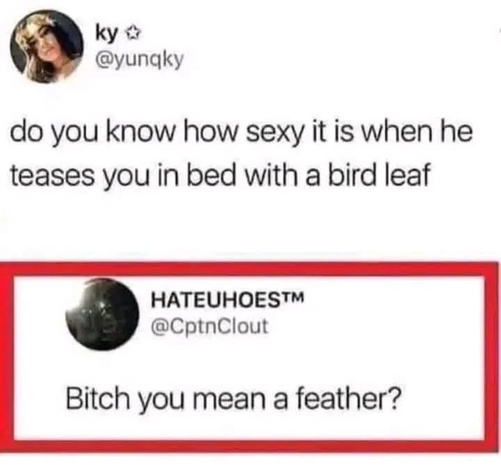 Screenshot of the same Twitter posts OP posted, but without the usernames censored out. @yunqky posts, "do you know how sexy it is when he teases you in bed with a bird leaf" @CptnClout replies, "Bitch you mean a feather?"
