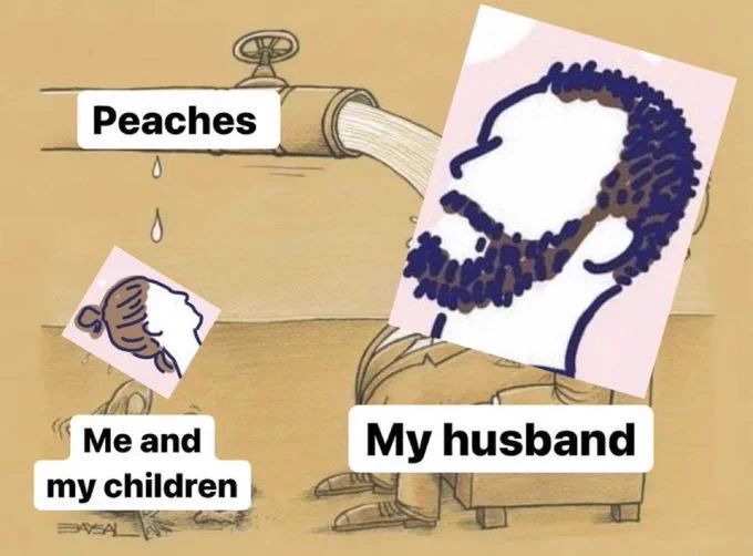 Tap labelled "Peaches" feeds cartoon dad, labelled "my husband," cartoon mom sat drinking from the leaking pipeline is captioned "me and my children"