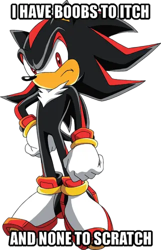 Captioned image of Shadow the Hedgehog from the Sonic the Hedgehog franchise. The text at the top of the image reads "I have boobs to itch". The text at the bottom of the image reads "and none to scratch".