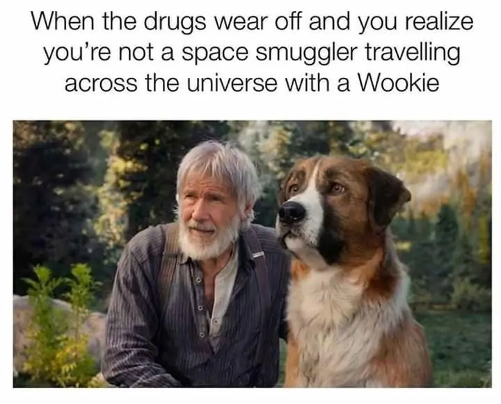 Picture of a man with a beard and a dog. Text says "when the drugs wear off and you realize you're not a space smuggler travelling across the universe with a wookie"