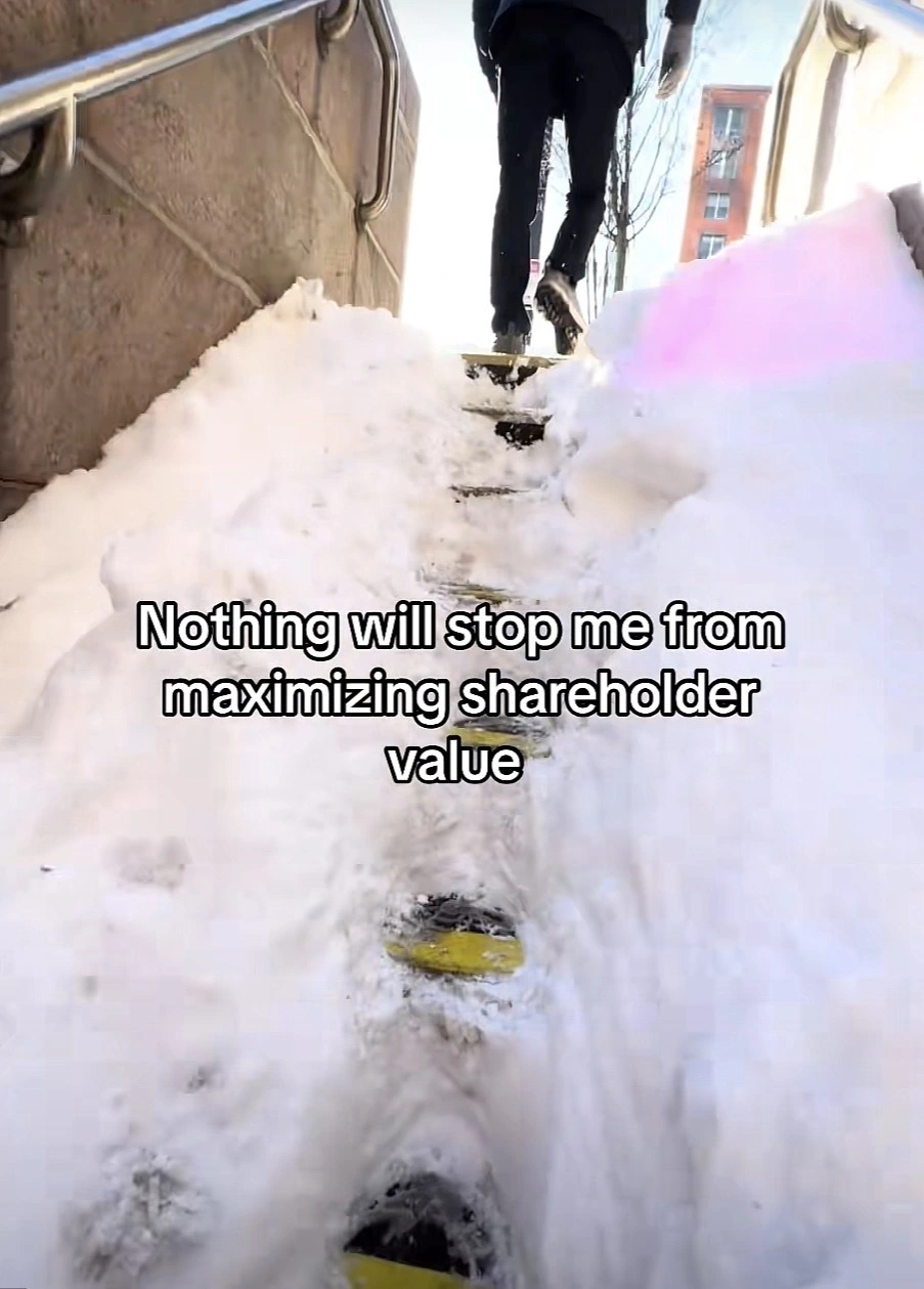 Photo of a person walking up stairs almost completed covered in snow with the caption “Nothing will stop me from maximizing shareholder value”